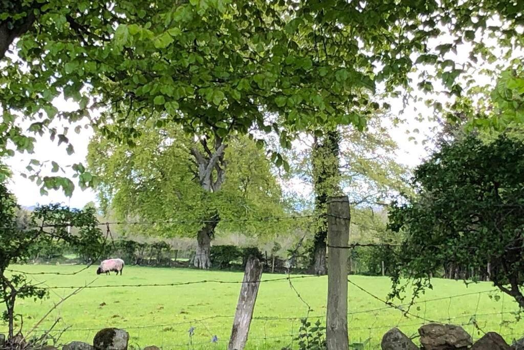 Ballyheifer House - A Beautiful 5 Bedroom Home. Magherafelt Buitenkant foto